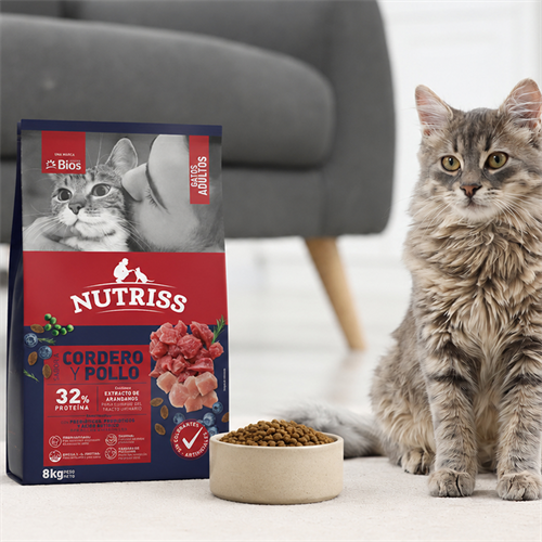 Taurina para gatos: beneficios y cómo afecta su salud
