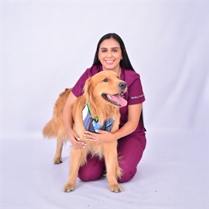 Guía veterinaria para viajar con tu perro