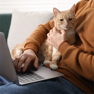 ¿Por qué tu gato te sigue a todas partes?