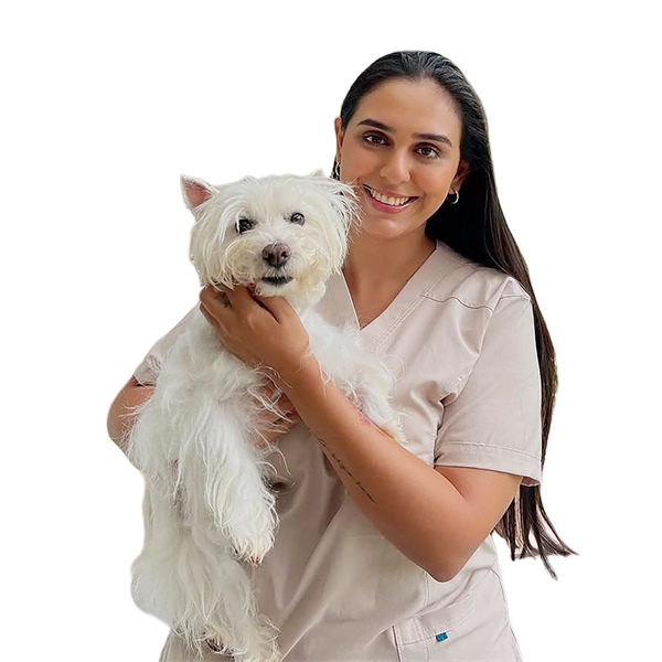 Cómo cuidar la digestión de tu perro en vacaciones