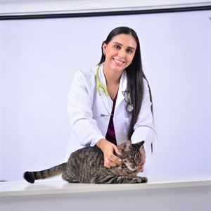 Vacaciones con gatos: guía para cuidar su bienestar