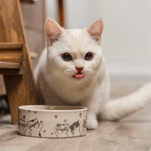 Casos Cat Lovers: datos para elegir mejor su alimento