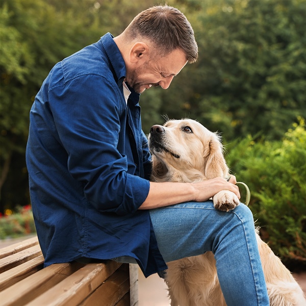 ¿Tu perro sabe cuándo necesitas compañía?