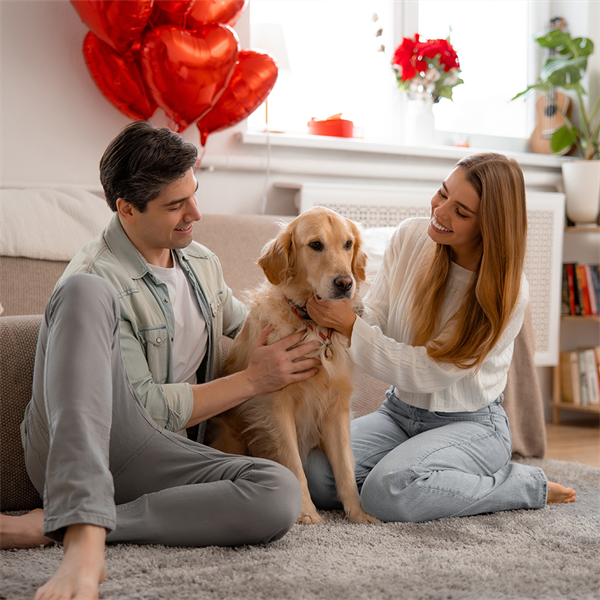Amor y Amistad con tu perro: planes para disfrutar juntos