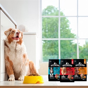 ¿Qué diferencia a TRIBALANCE de otros alimentos para perros?