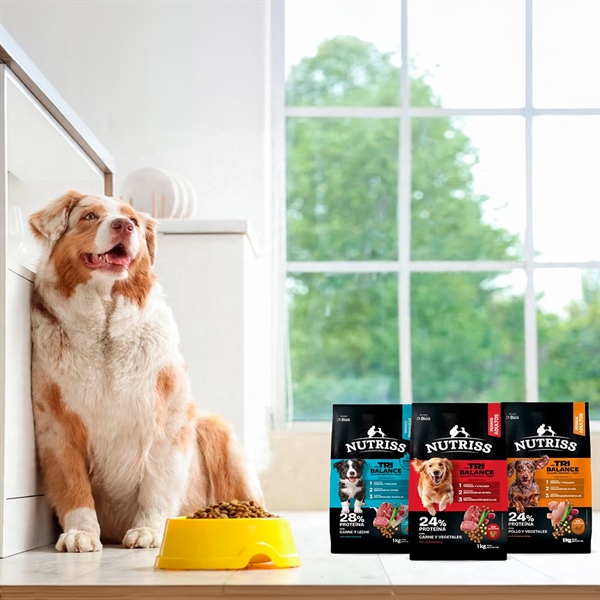¿Qué diferencia a TRIBALANCE de otros alimentos para perros?
