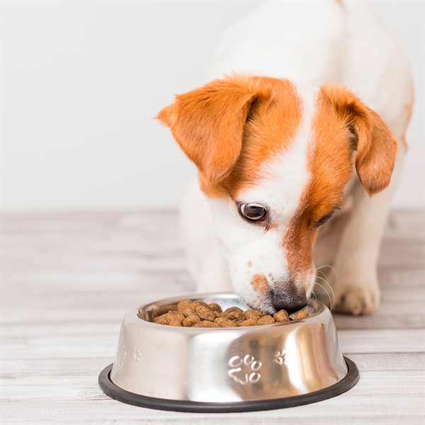 Nutriss TRIBALANCE Cachorros: alimentación y porciones