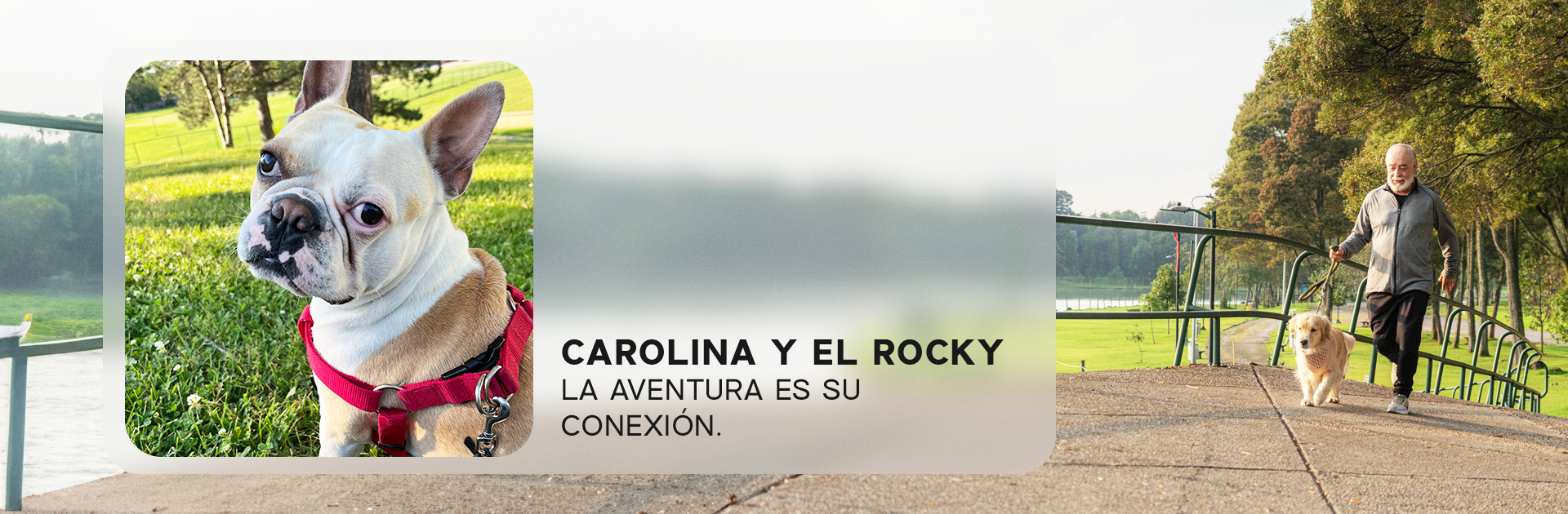 Carolina y El Rocky, historias reales Nutriss