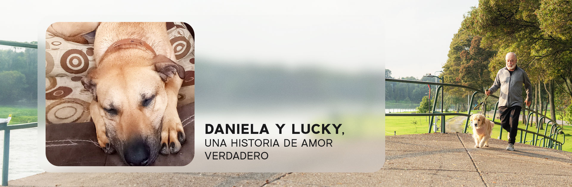 Daniela y Lucky, historias reales Nutriss