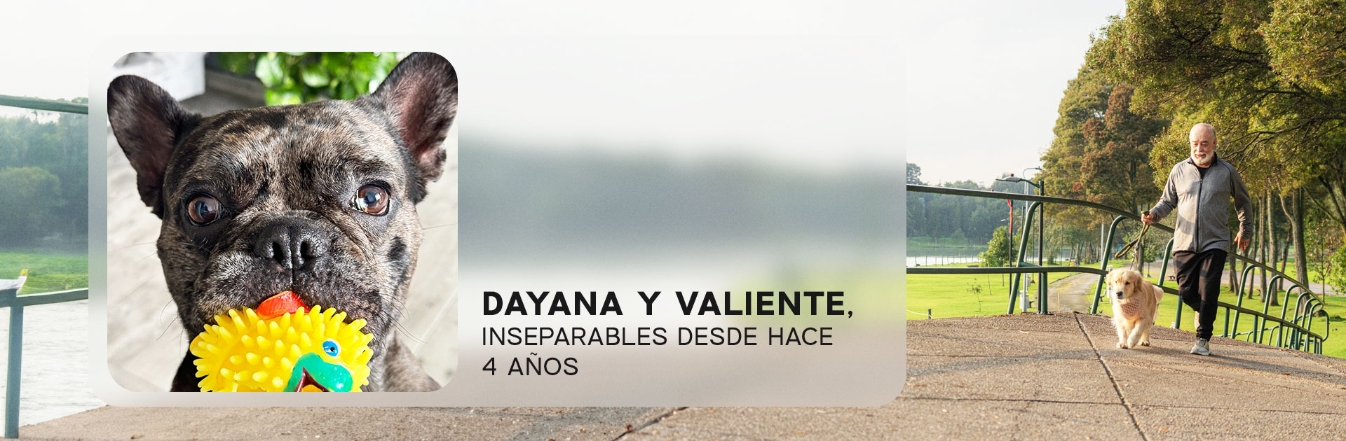 Dayana y Valiente, historias reales Nutriss