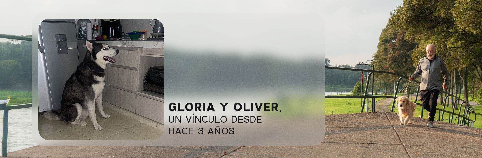 Gloria y Oliver, historias reales Nutriss