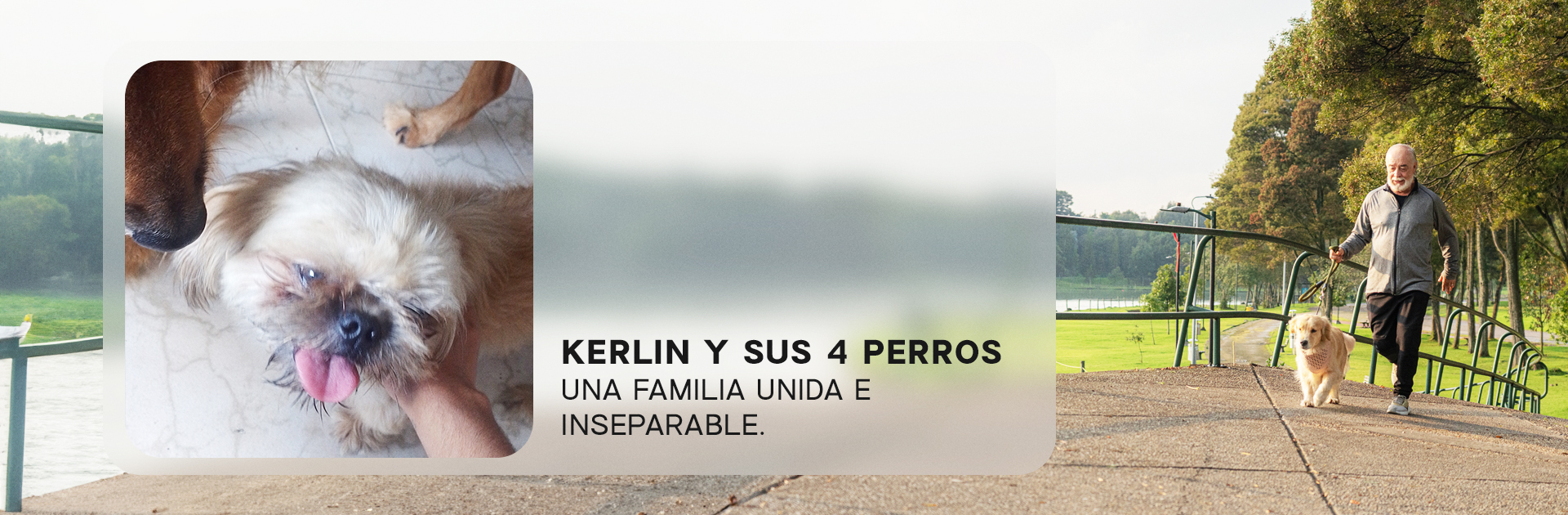 Kerlin y su manada, historias reales Nutriss