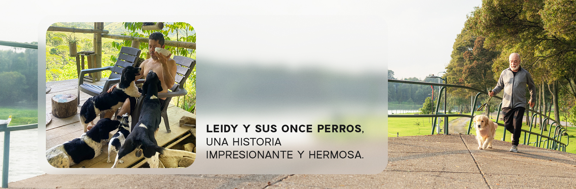 Leidy y sus once perros, historias reales Nutriss