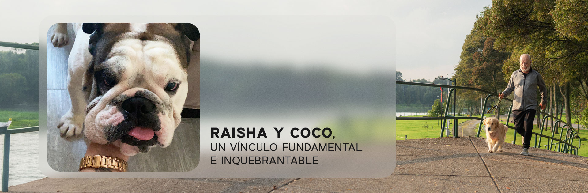 Raisha y Coco, historias reales Nutriss