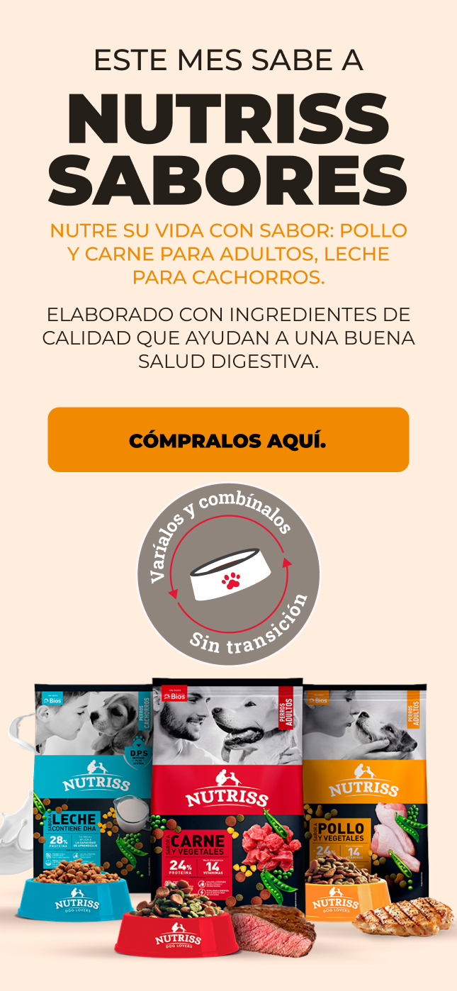 BNP - NUTRISS SABORES 2026