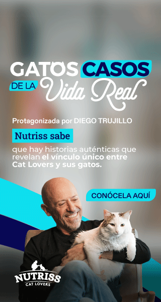 Banner Serie Gatos