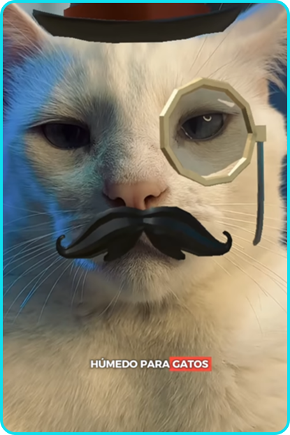 detective-coco-mitos-de-alimento-para-gatos