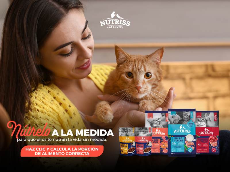 calculadora nutriss