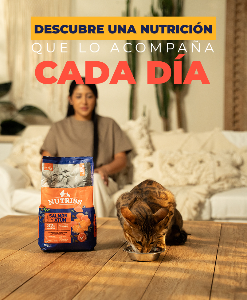 Pide una muestra gratis para tu perro