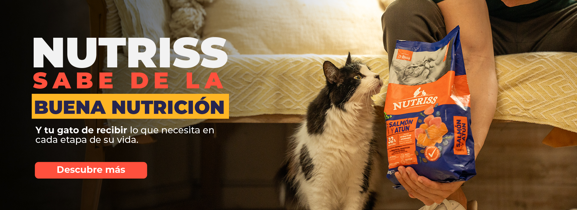 NG Banner NS