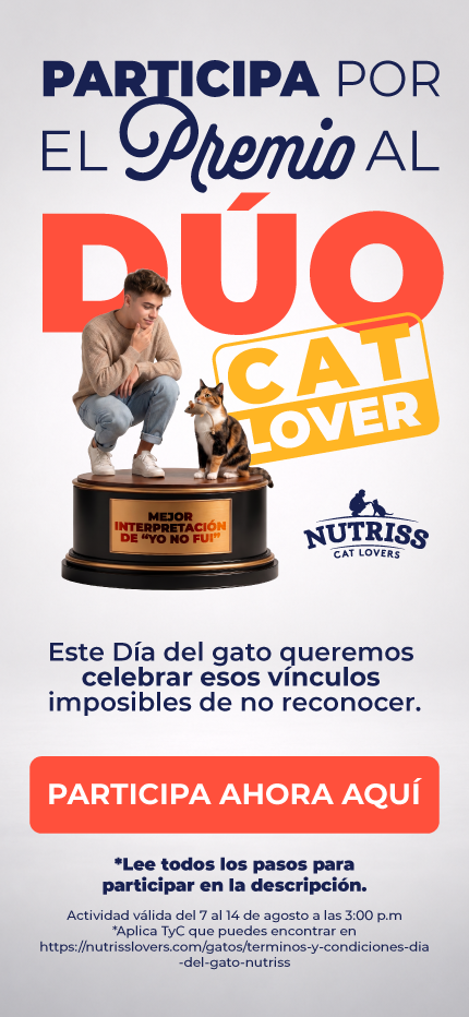 Banner: NG Día del gato
