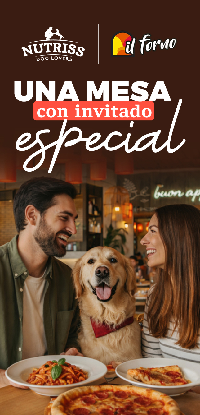 NP - IFORNO RESTAURANTES