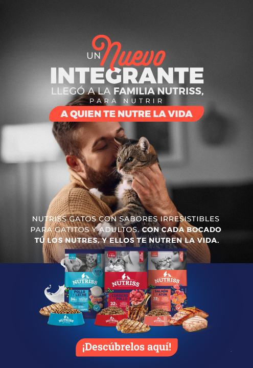 Nutriss gatos sabores