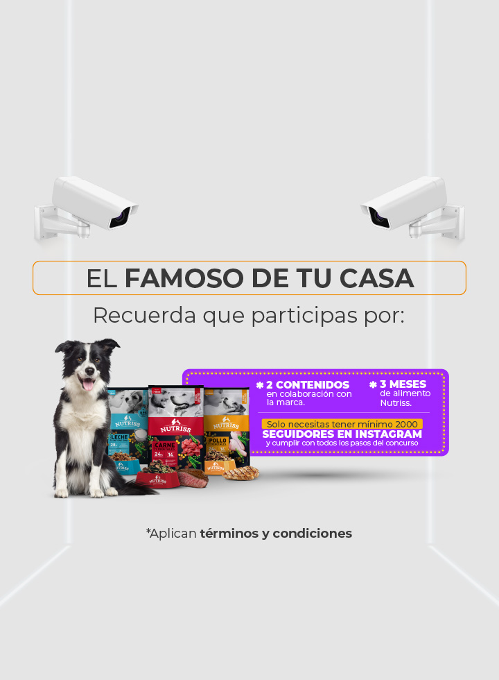 IMG-Banner-Registro-mobile.jpg