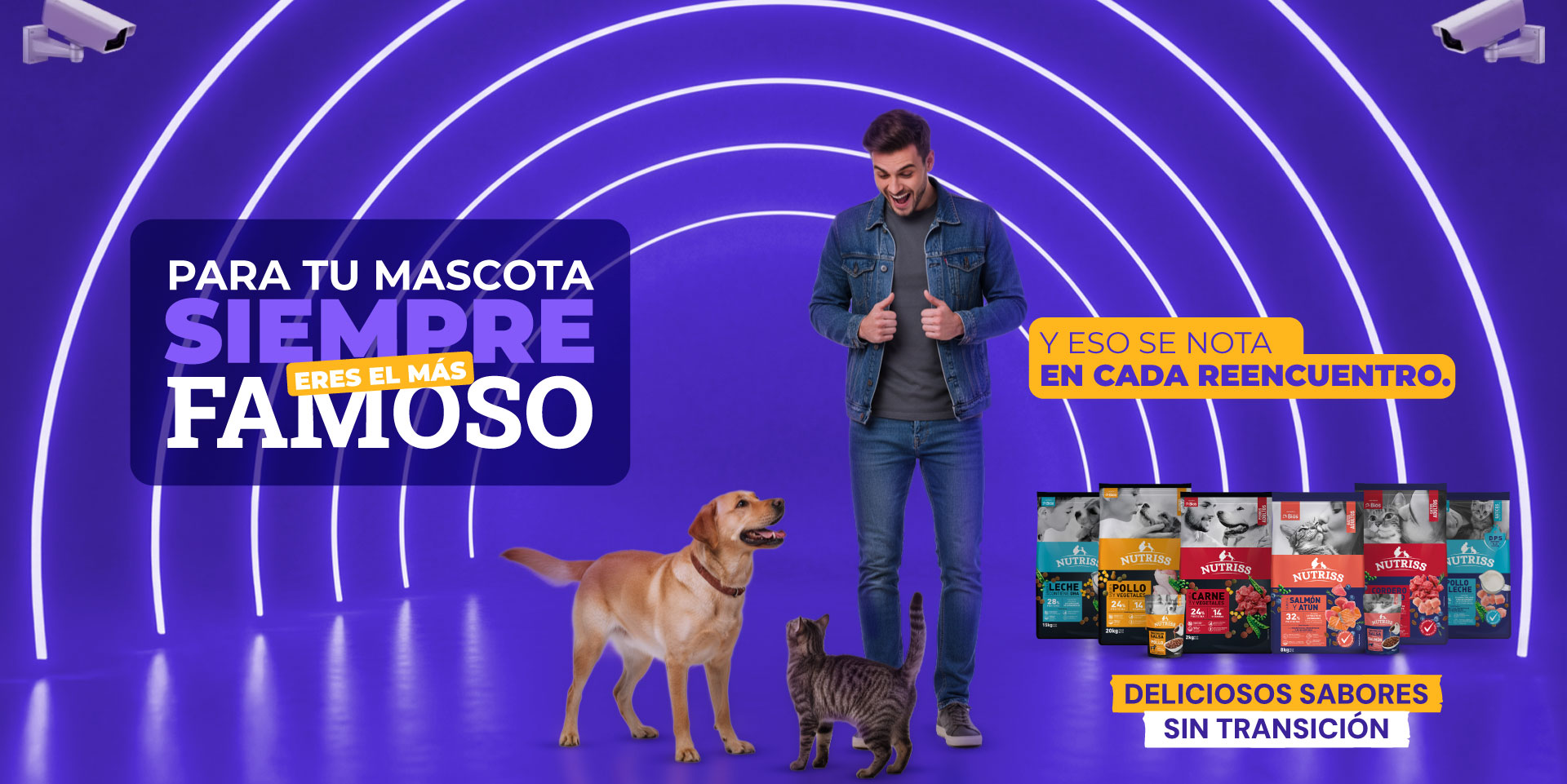 CDLF - Banner Landing