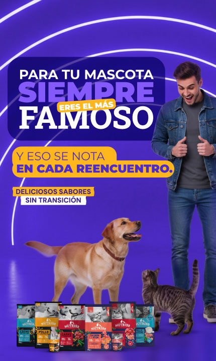 CDLF - Banner Landing