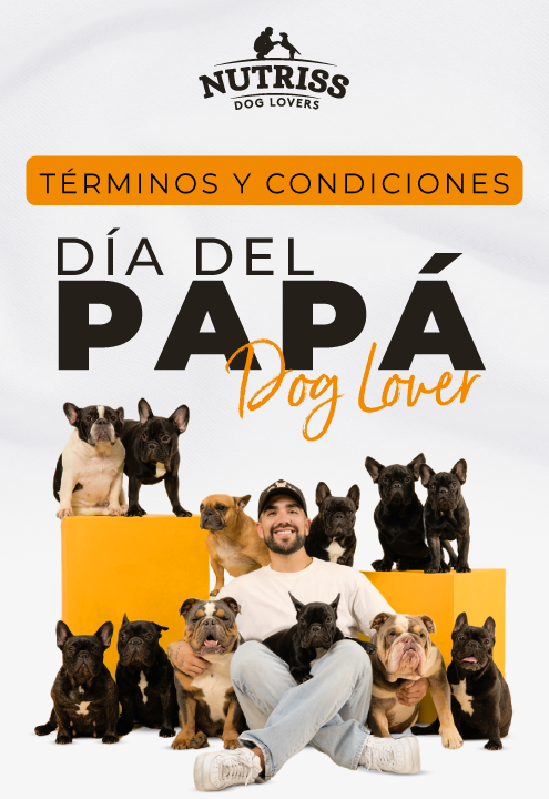 banner-concurso-el-mas-famoso-de-tu-casa
