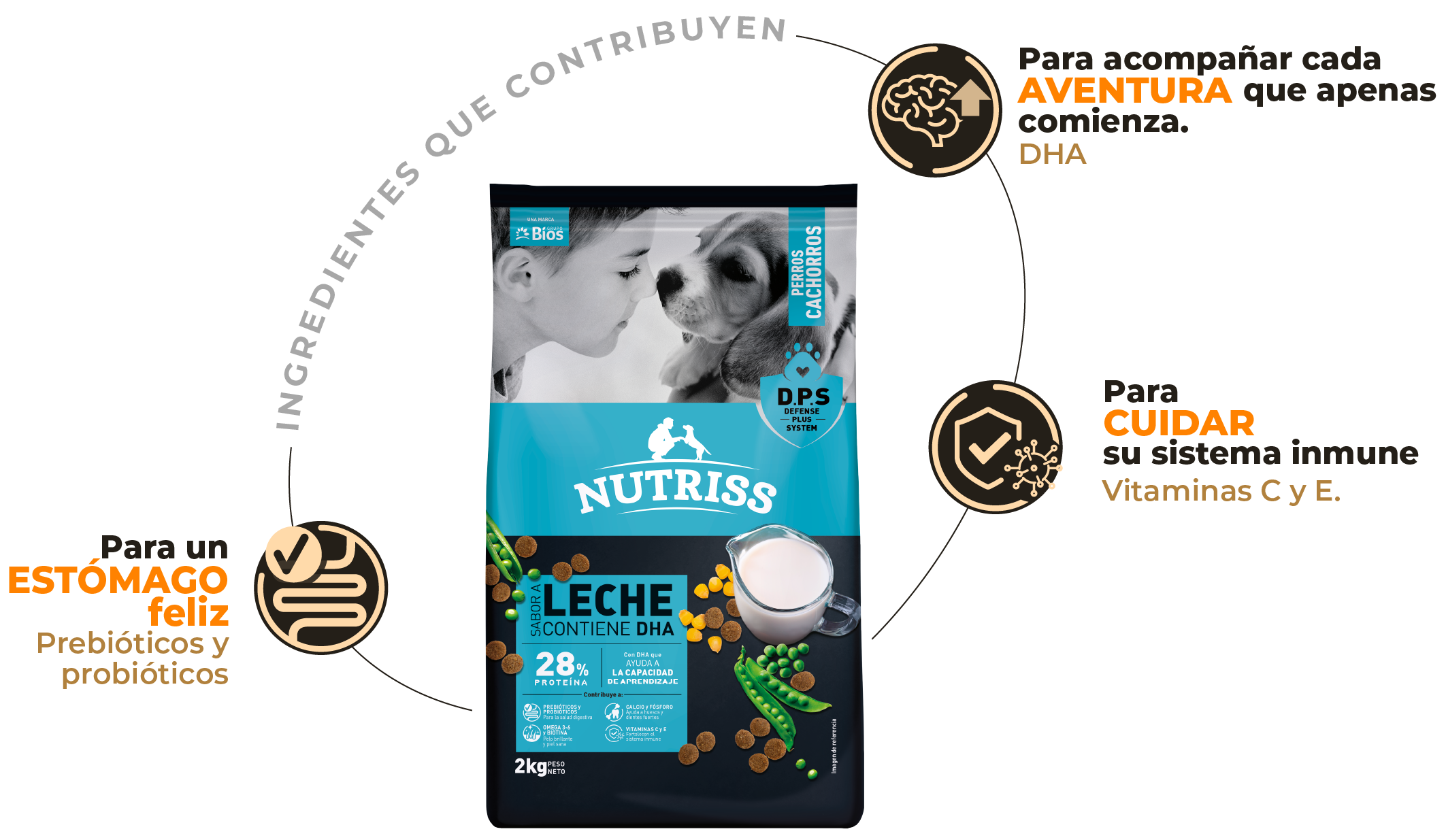 Beneficios