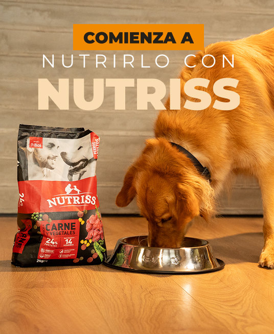 Comienza a nutrirlo con Nutriss