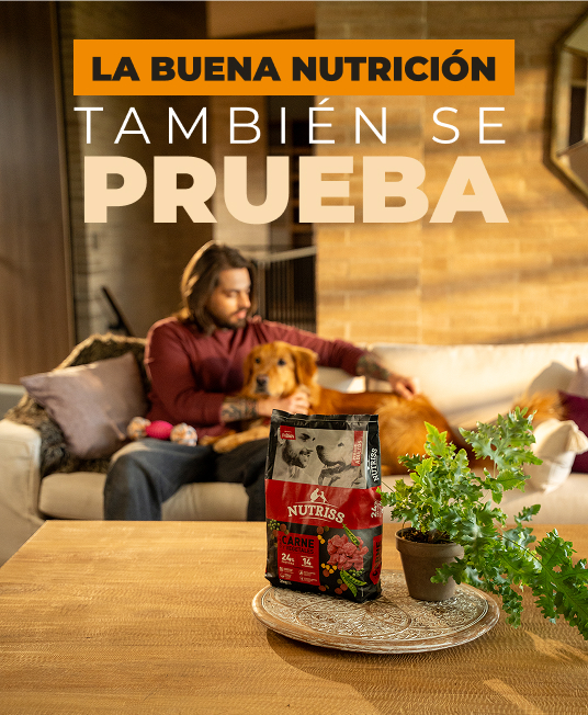 Pide una muestra gratis para tu perro