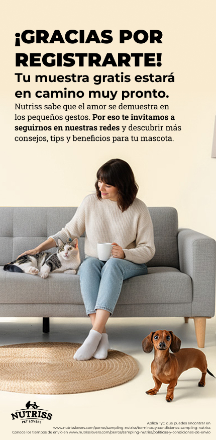 Confirmación Registro Sampling