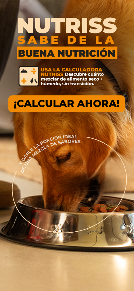 NP Banner Calculadora