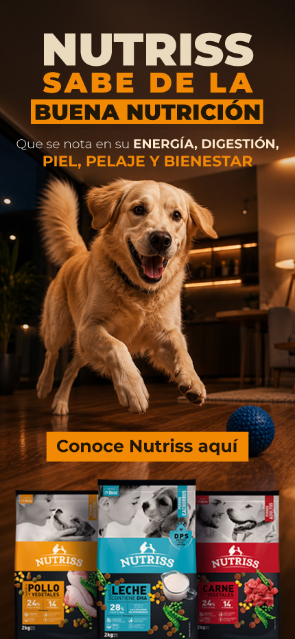 NP-Banner-Nutriss-Sabe