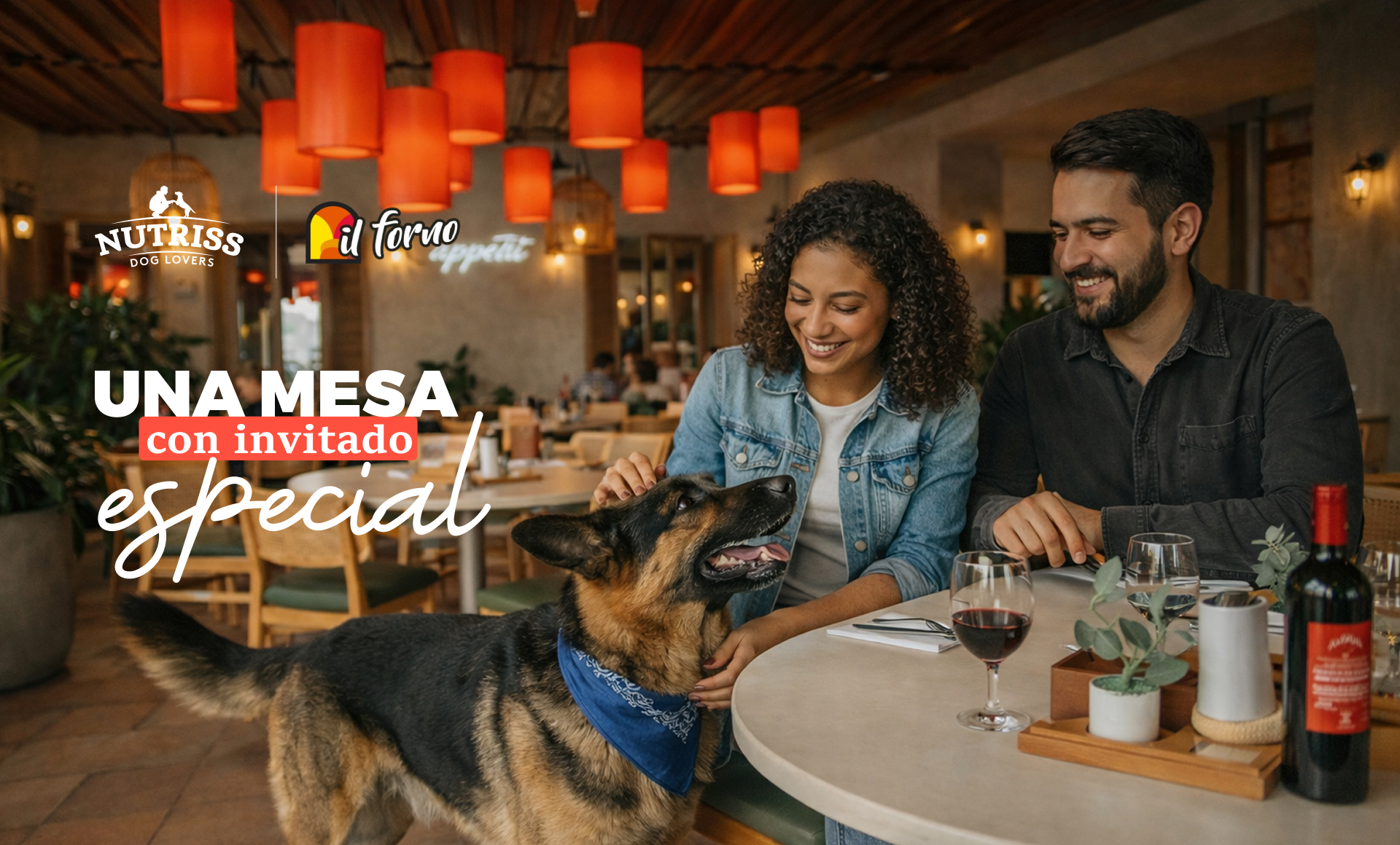 Comentarios-de-usuarios-il-forno