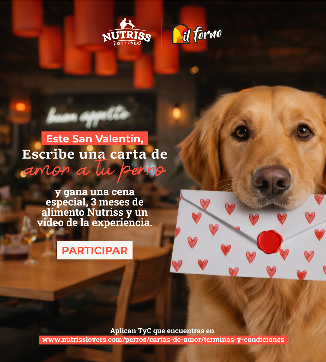 Cartas de amor para mi perro