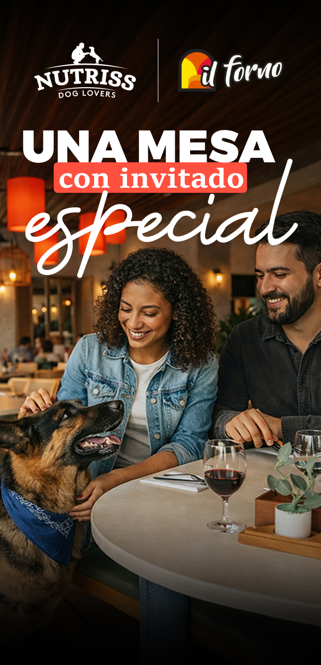 Comentarios-de-usuarios-il-forno