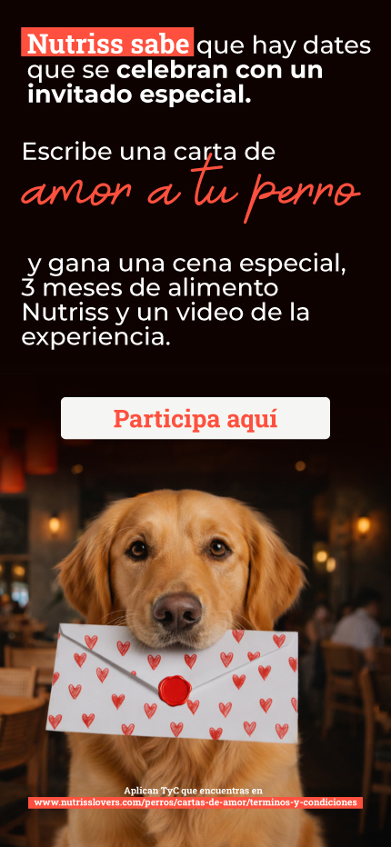 NP - HOME CARTAS DE AMOR