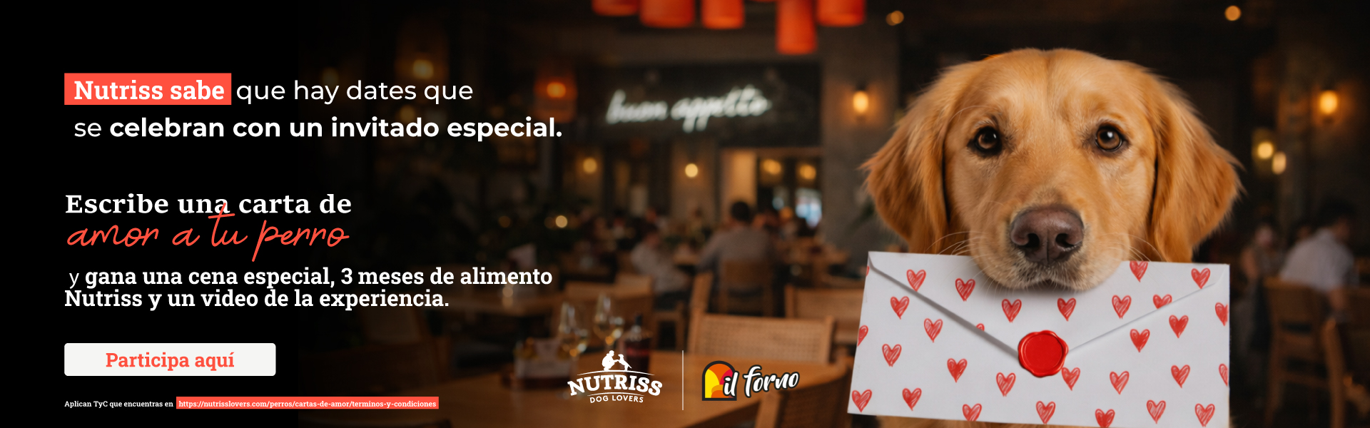 NP - HOME CARTAS DE AMOR