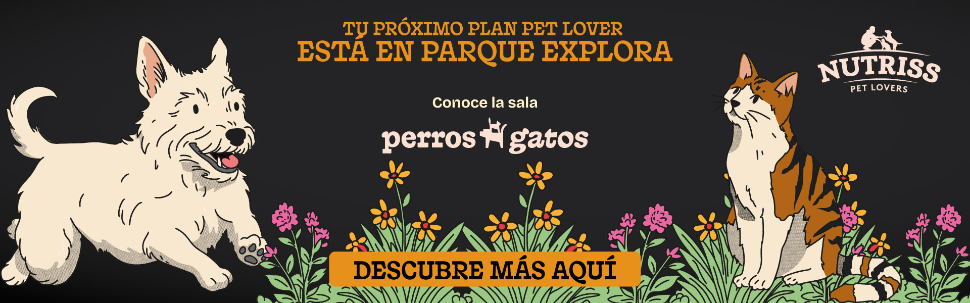 NL Banner Parque Explora