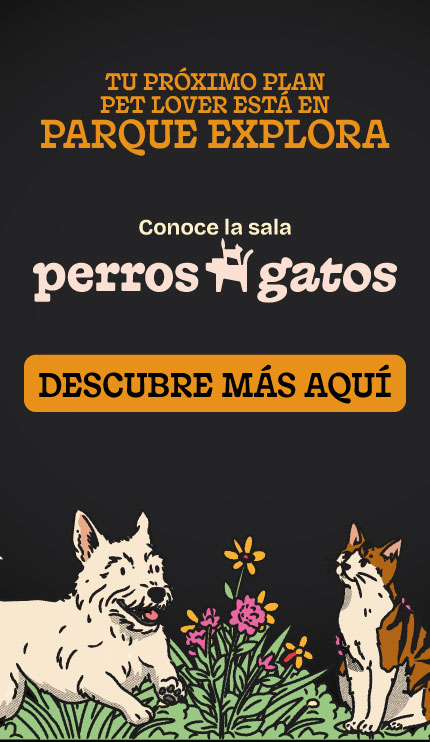 NL Banner Parque Explora