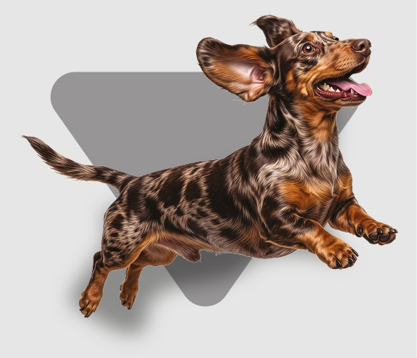Perro adulto nutriss tribalance
