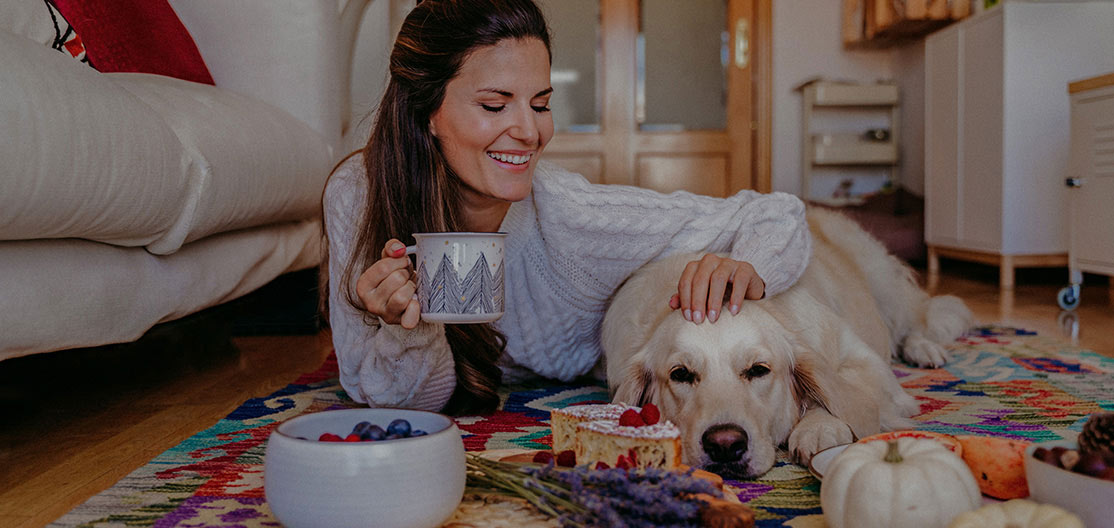 pueden los perros comer salsa de cebolla