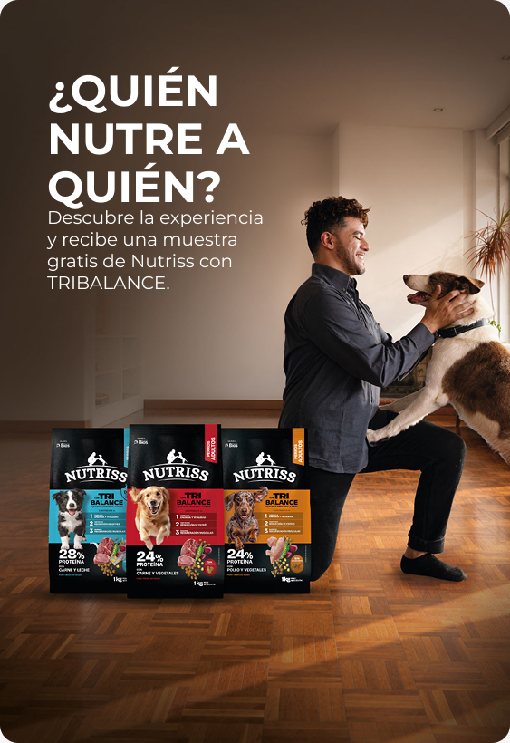 Nutriss-experiencia-tribalance639265554938155268