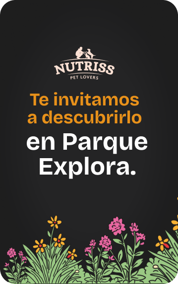 te invitamos a vivir una experiencia de perros y gatos en parque explora